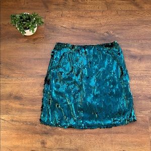 Sequined Skirt